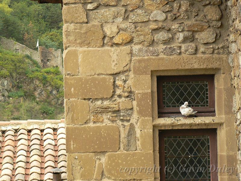 Le château-musée de Tournon-sur-Rhône P1140167.JPG